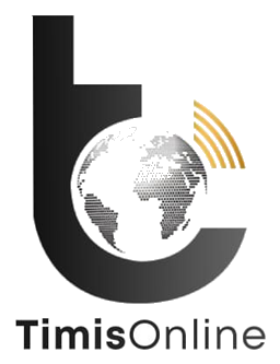 TiMisOnline Logo
